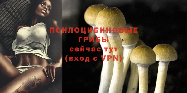 гашик Абаза