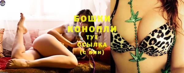 гашик Абаза